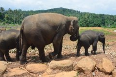 sri-lanka4048