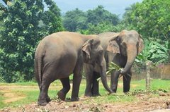 sri-lanka4050