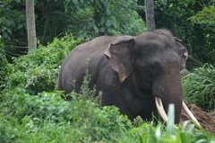 sri-lanka4052