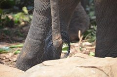 sri-lanka4055