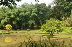 sri-lanka4100