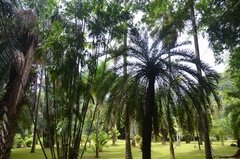 sri-lanka4103