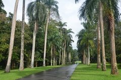sri-lanka4116