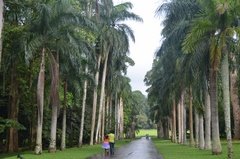 sri-lanka4117