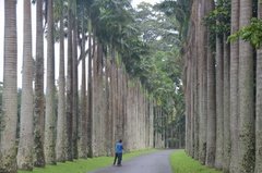 sri-lanka4118