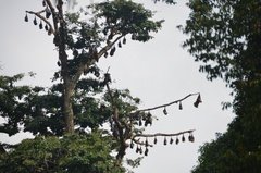 sri-lanka4131