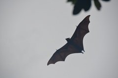 sri-lanka4134