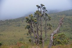 sri-lanka5101