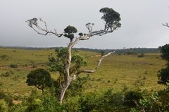 sri-lanka5103