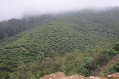 sri-lanka5301