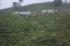 sri-lanka5302
