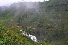 sri-lanka5305