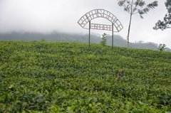 sri-lanka5306
