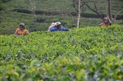 sri-lanka5316