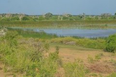 sri-lanka6408