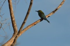 sri-lanka6418
