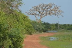 sri-lanka6424