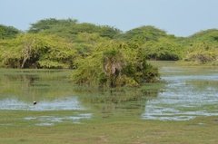 sri-lanka6432