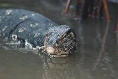 sri-lanka6450