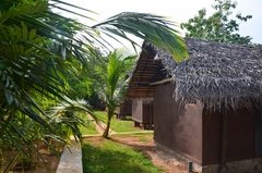 sri-lanka6506