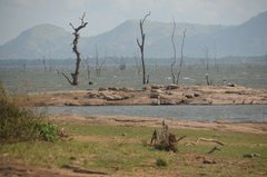 sri-lanka6606
