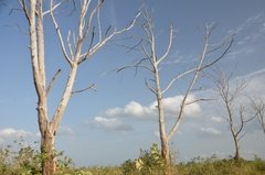 sri-lanka6619