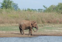 sri-lanka6629