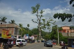 sri-lanka6800