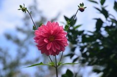 sri-lanka6833