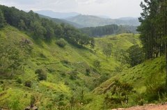 sri-lanka6834
