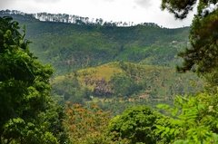 sri-lanka6835