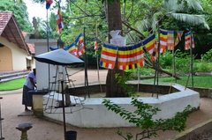 sri-lanka7012