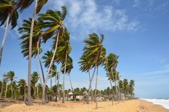 sri-lanka8008