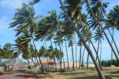 sri-lanka8011
