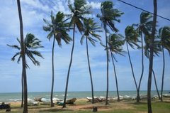 sri-lanka8013
