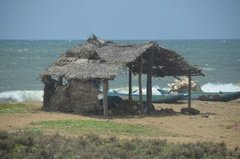sri-lanka8015