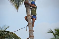 sri-lanka8018