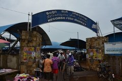 sri-lanka8220