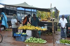 sri-lanka8232