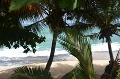 sri-lanka8301