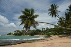 sri-lanka8305