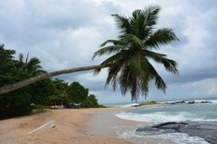 sri-lanka8306