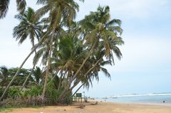 sri-lanka8307