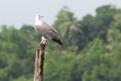 sri-lanka9003