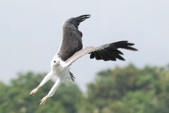 sri-lanka9004