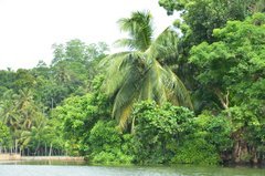 sri-lanka9043