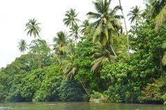 sri-lanka9049