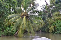 sri-lanka9210