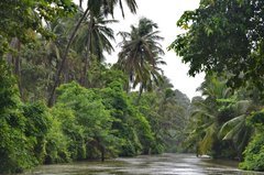 sri-lanka9211