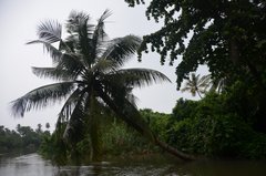 sri-lanka9215